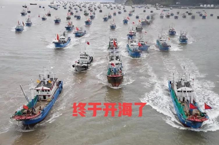 东海开海有什么海鲜,相约开海季一大波诱人海鲜来袭