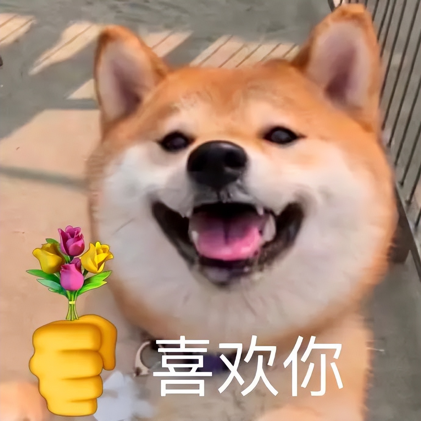 我涉嫌喜欢你表情包,今日任务喜欢你表情包