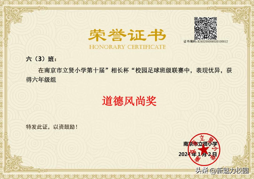 南京市晓庄小学校园足球联赛,区长杯小学校园足球联赛