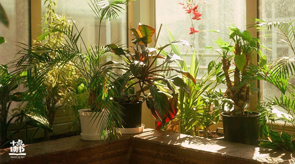 最美的七夕诗词惊艳千年,最美的七夕诗词