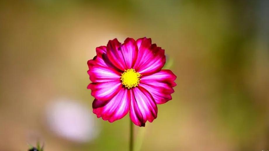 亲戚之间不能做的八件事,亲戚结仇