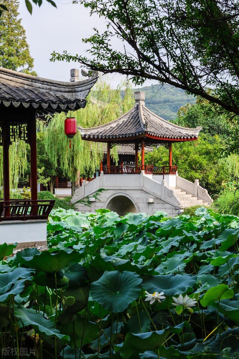 苏州这座城市怎么样,苏州最值得去哪个区