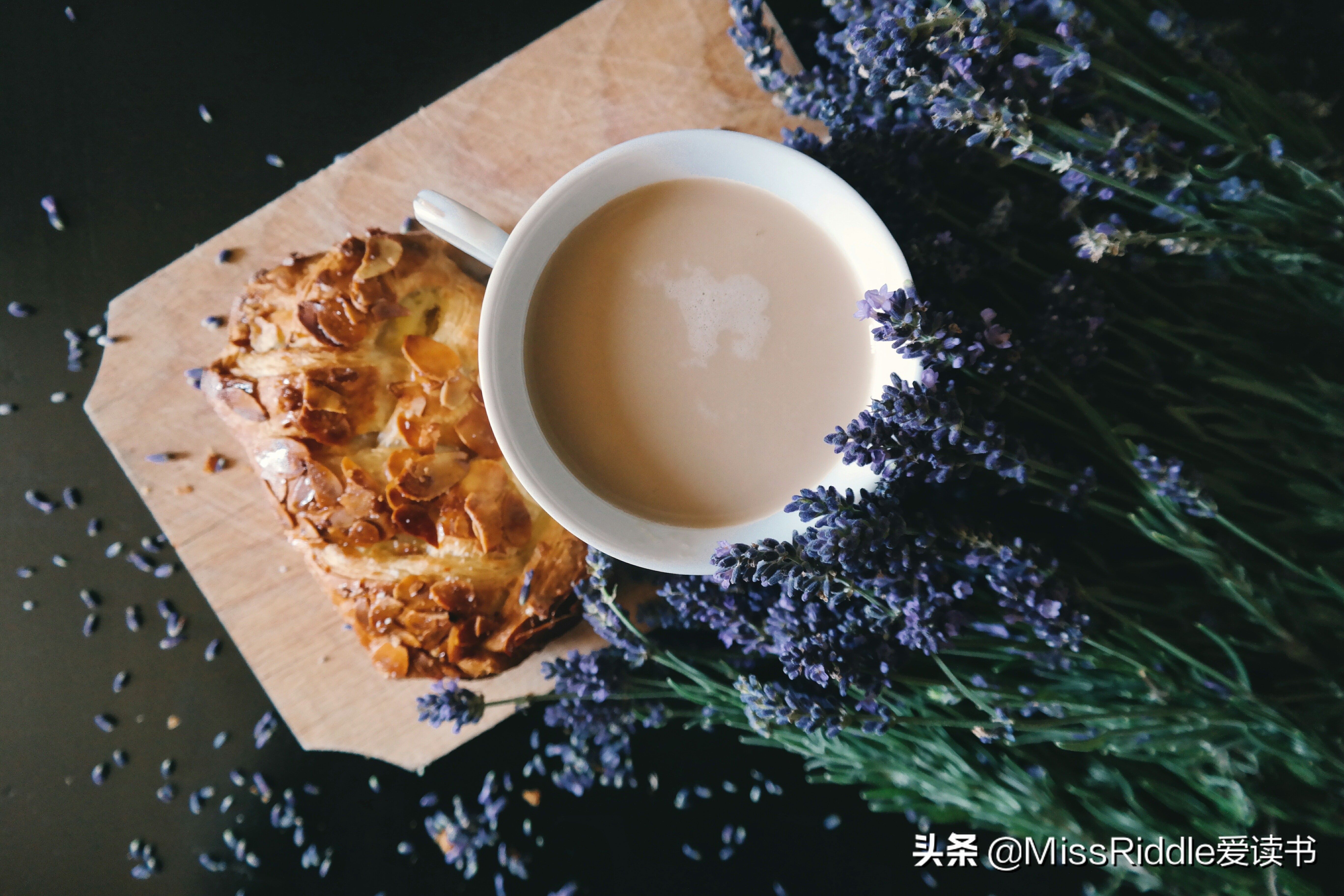 奥巴马催更的科幻小说,奥巴马写信催更的小说