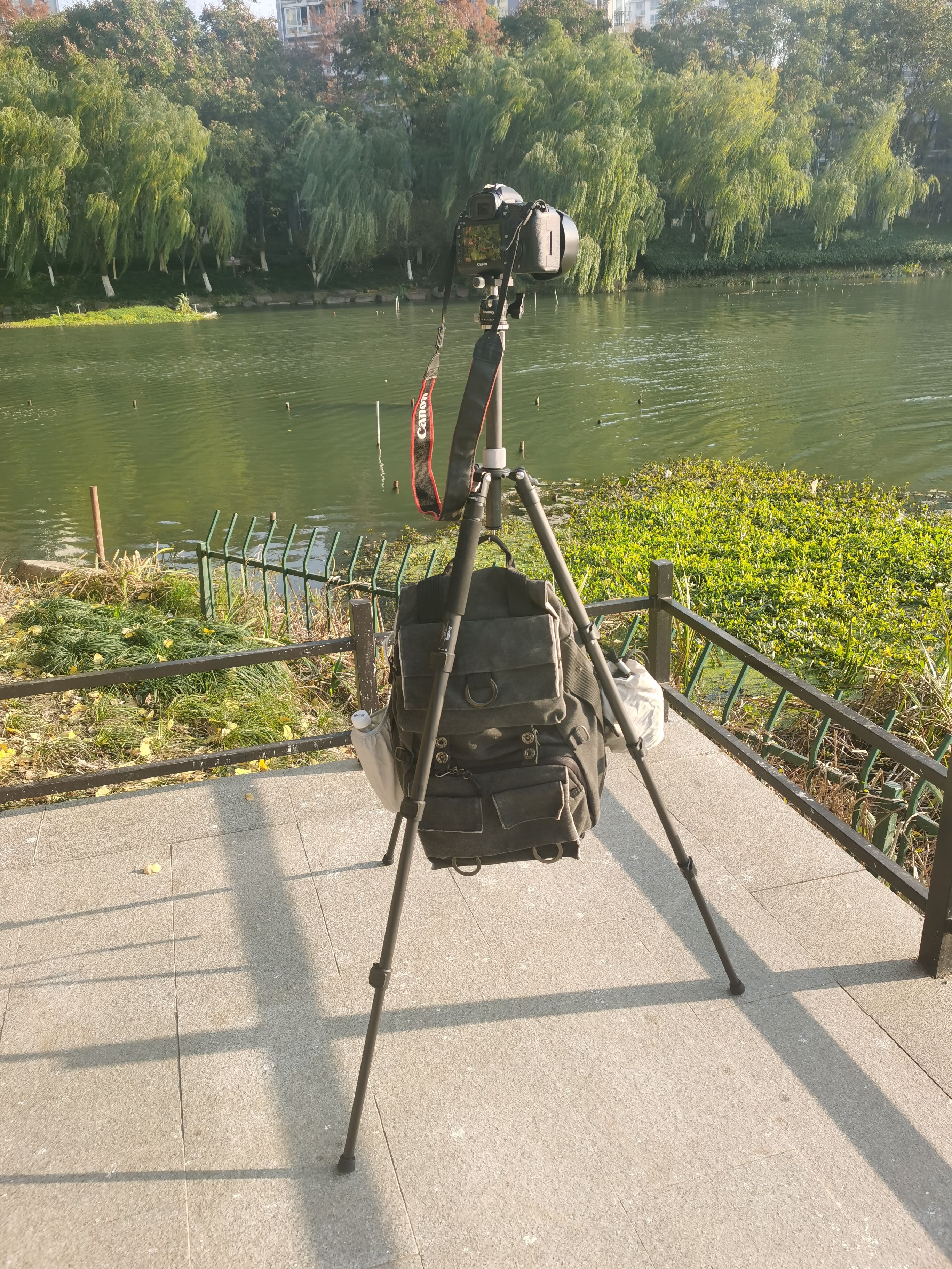 入门碳纤维三脚架推荐,斯莫格三脚架碳纤维和铝合金