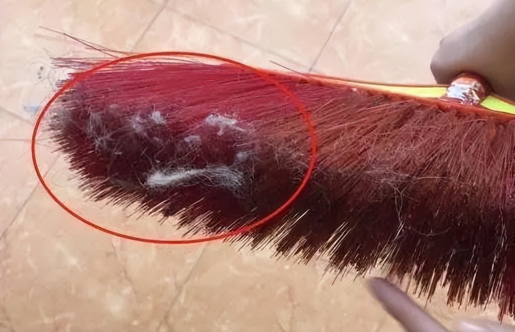 家里总是有灰尘毛絮用什么擦除,家里老是有毛毛灰怎么清除干净