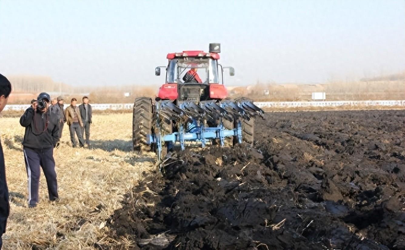 熊猫40年血泪史,大熊猫之殇