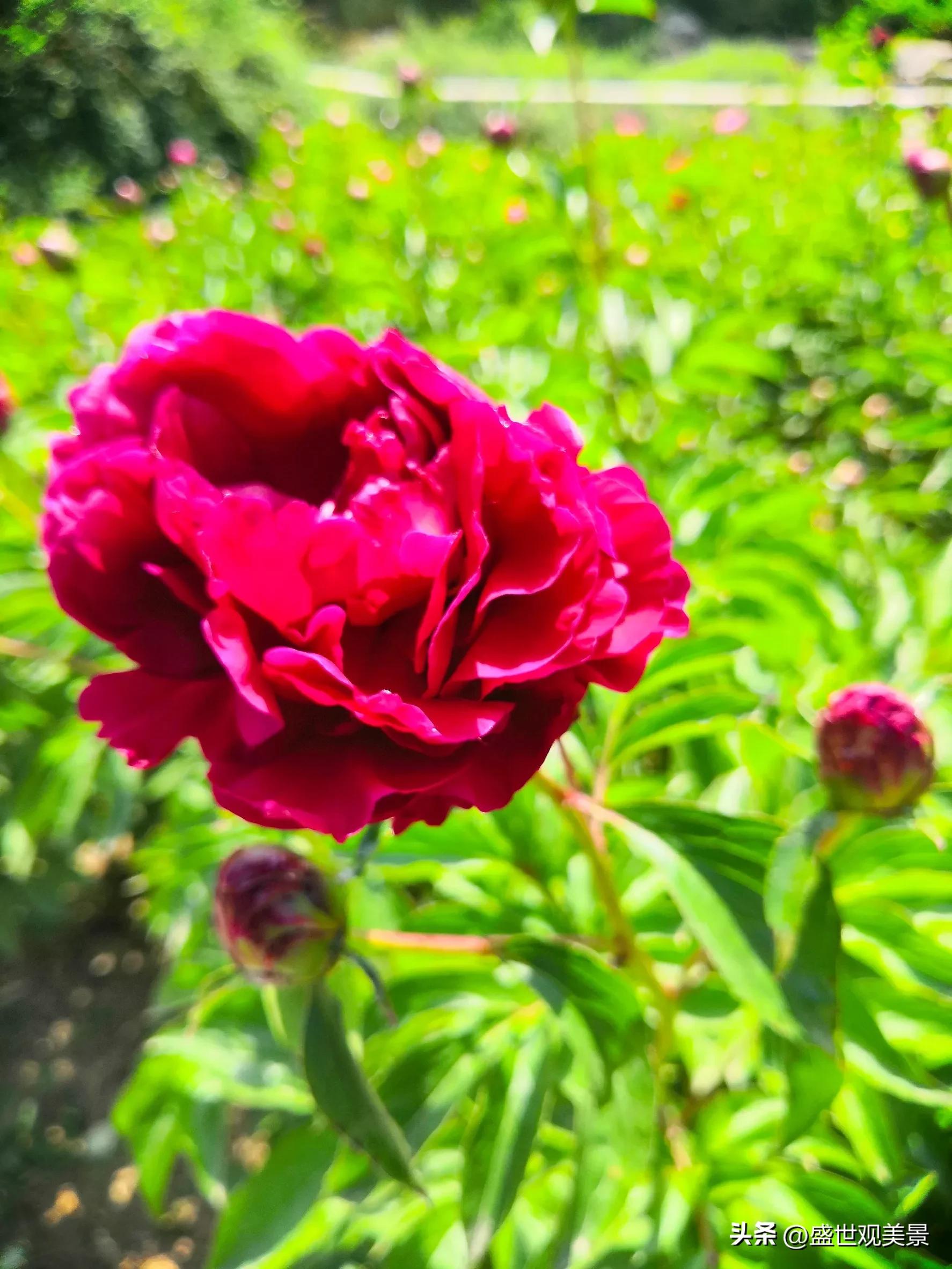 怎样找到头条的流量密码,头条原创文章怎么加推荐量