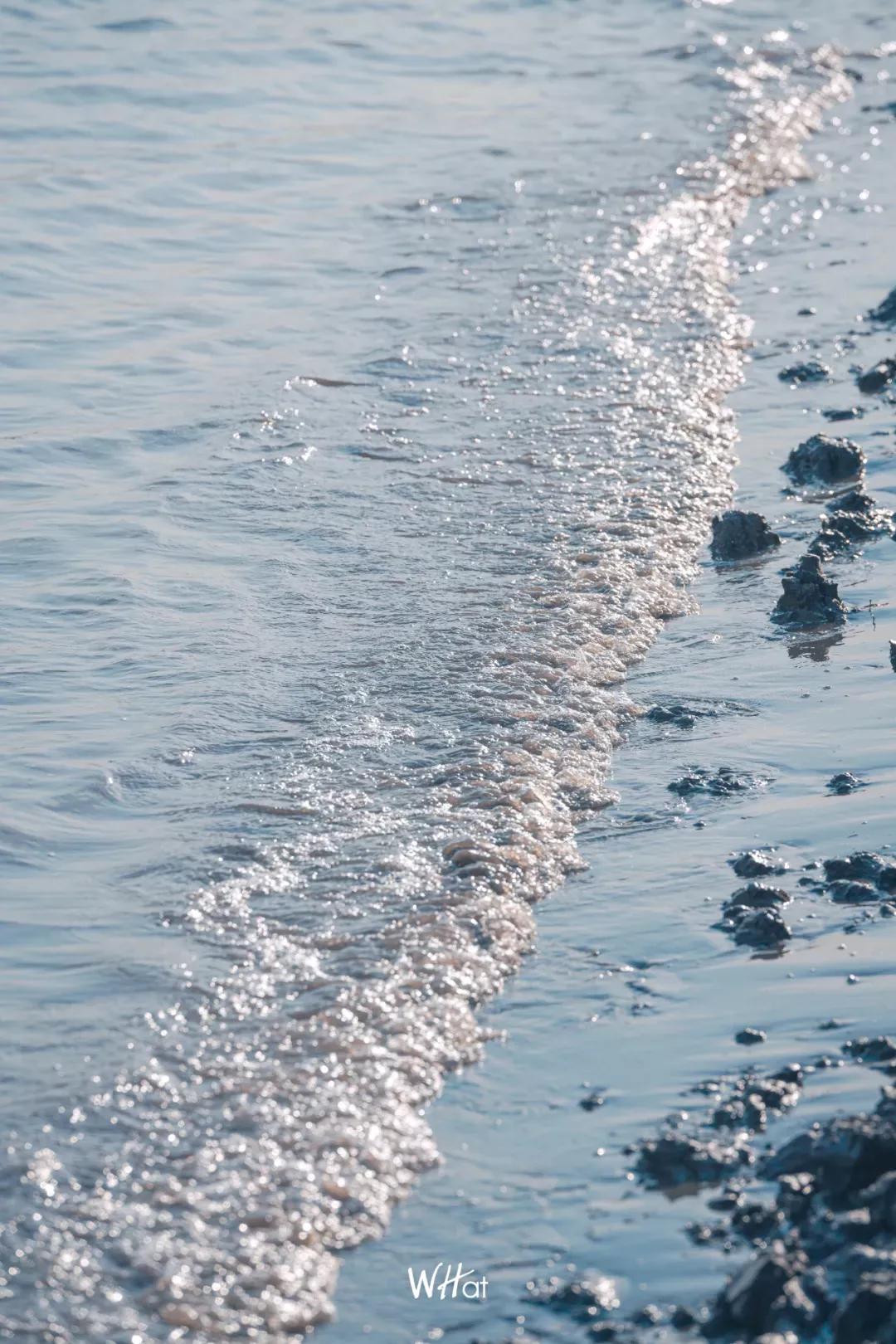武汉人的冬天专属指南,武汉人的冬天为什么那么冷