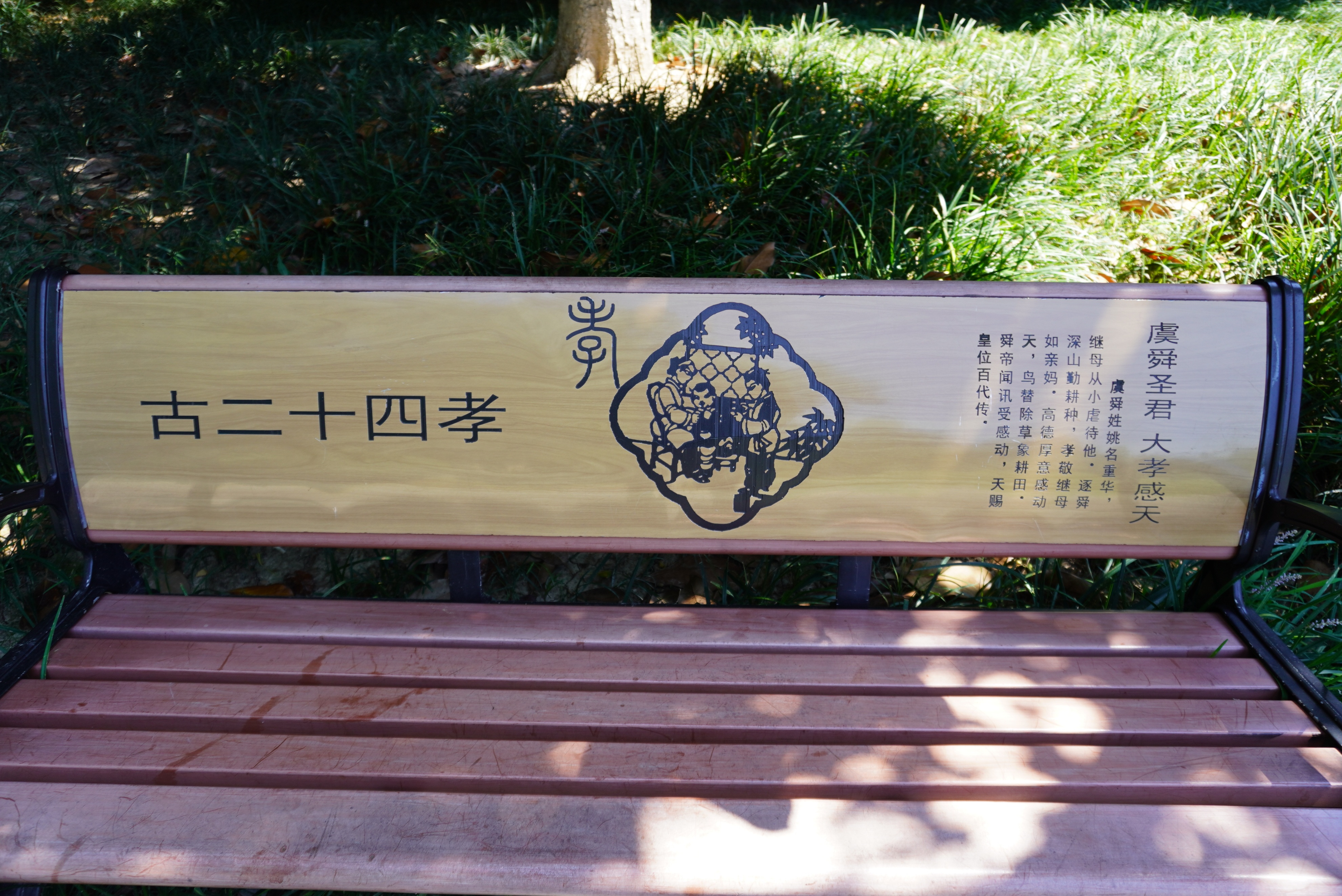 合肥的杏花公园的位置,有一棵杏花树的公园合肥