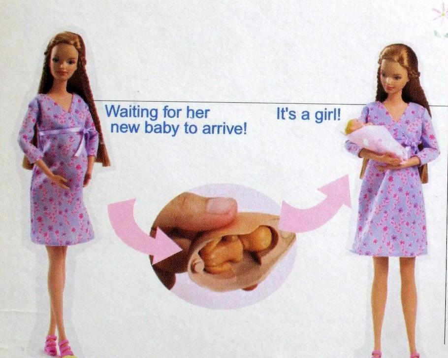 盘点20部芭比电影,关于芭比系列电影有哪些