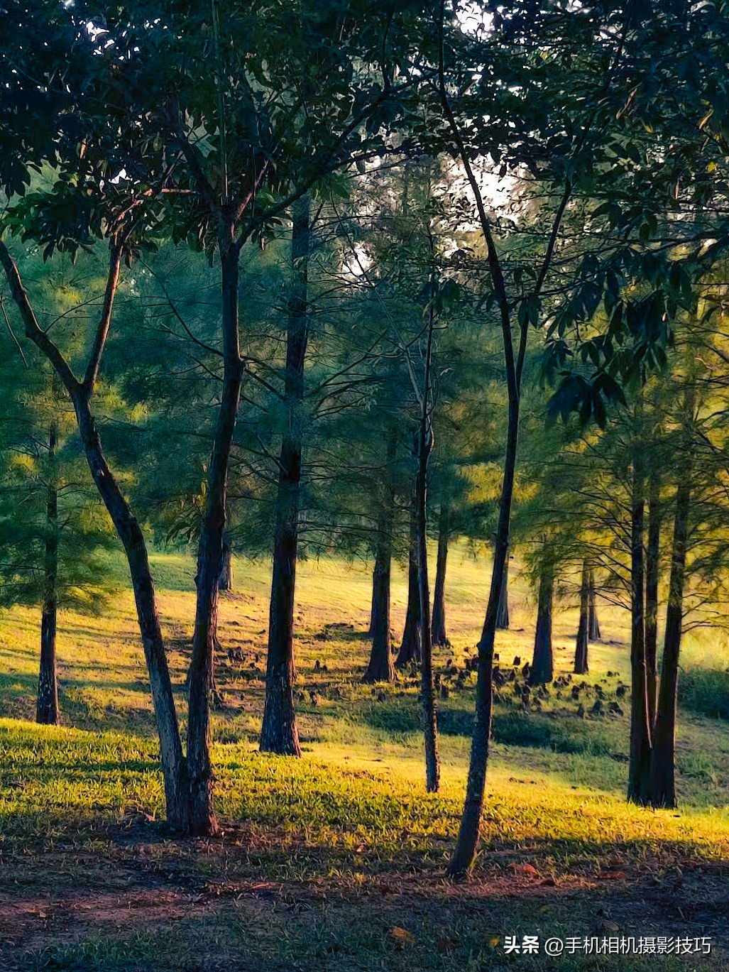 单反拍照明暗反差太大拍摄技巧,在恶劣光线下拍摄好照片的秘诀
