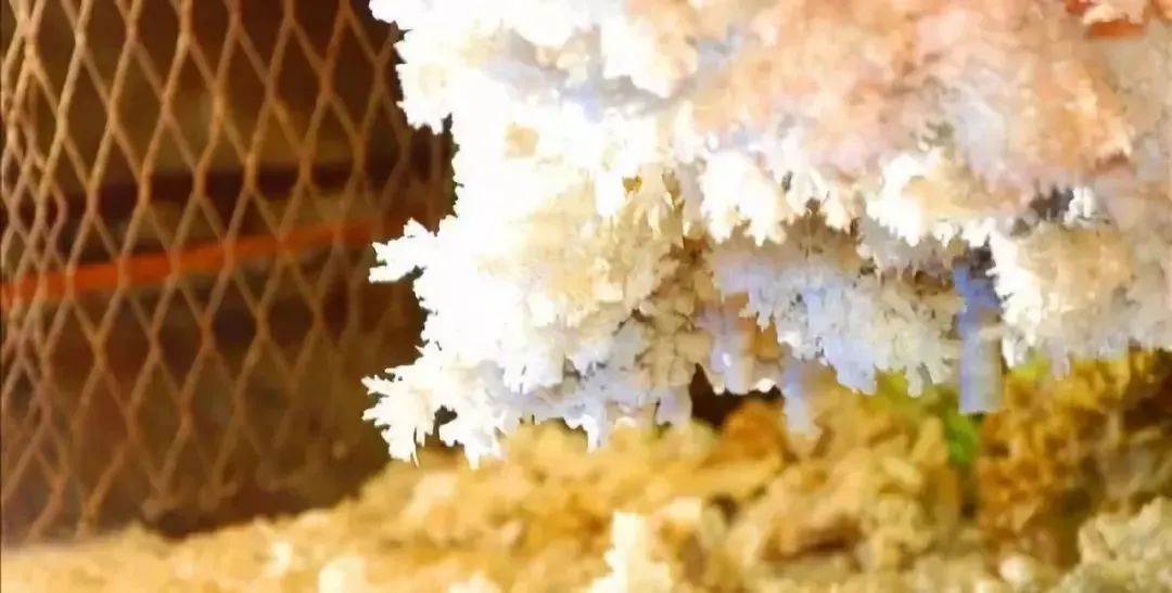 比空调舒服的避暑胜地,八个凉爽的避暑地