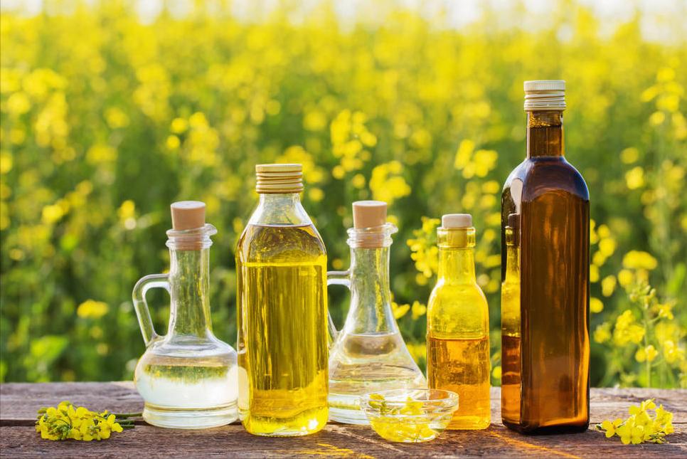 为啥买的菜籽油没香味,为什么买的菜籽油没有农村榨的香