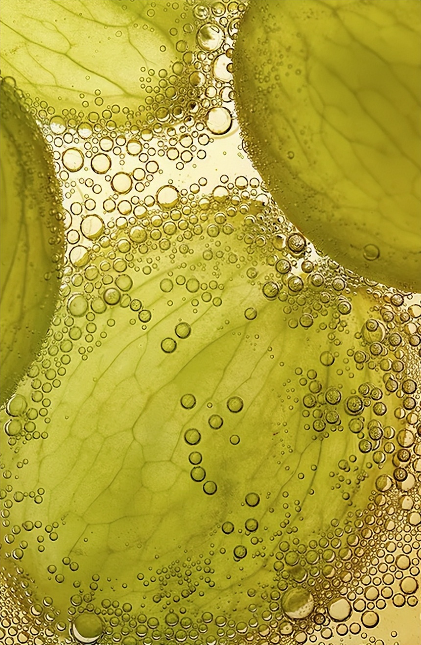 国货护肤品成分党新品,国货护肤品翻盘技巧