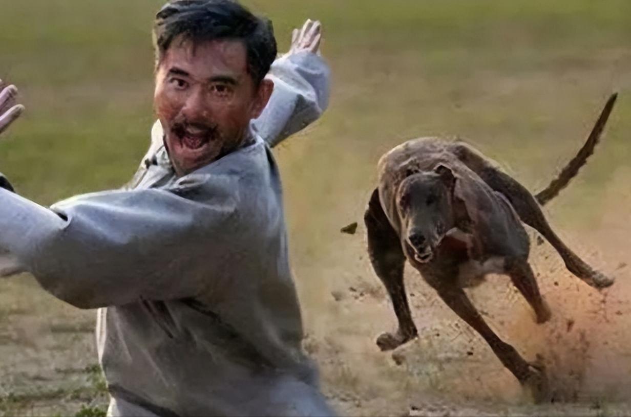 被狗追咬自救的方法,假如被狗追如何避免被咬