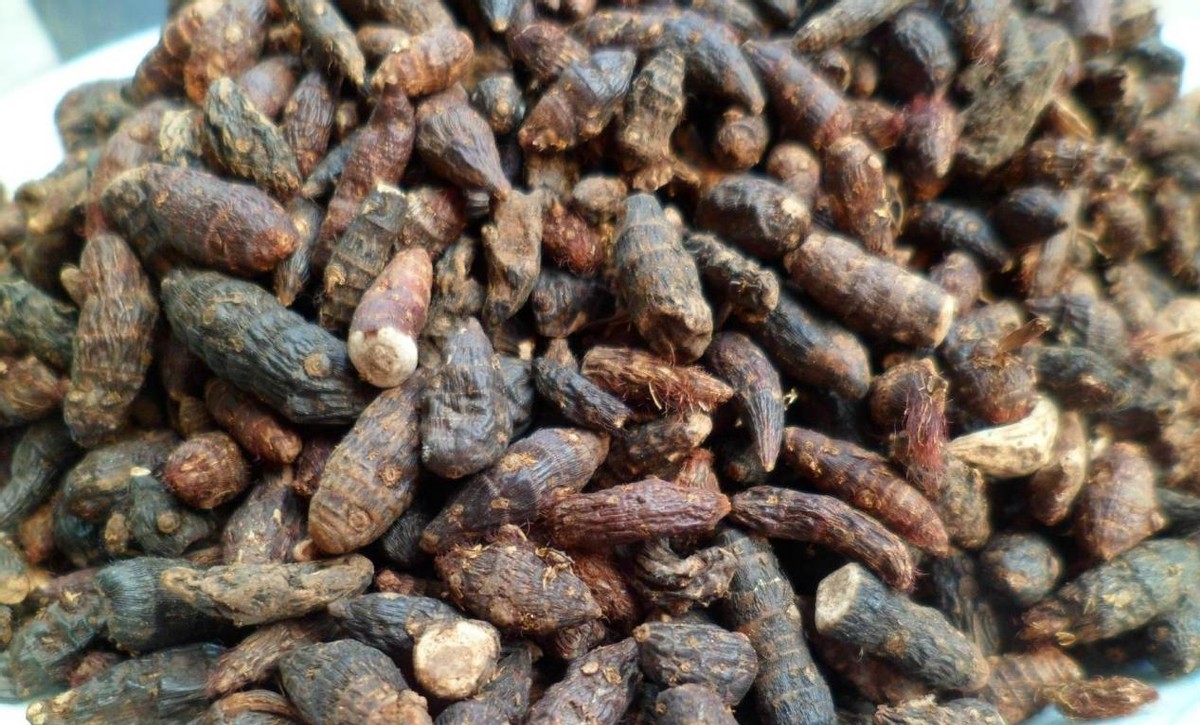 中药降转氨酶最好的中成药,降肝酶中药