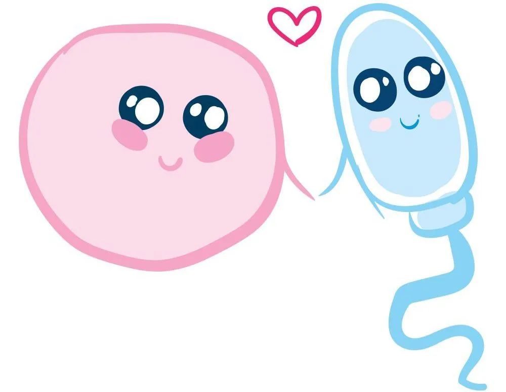 「疾病科普」不孕和流产的男方因素—怎么检测精子碎片率（DFI）