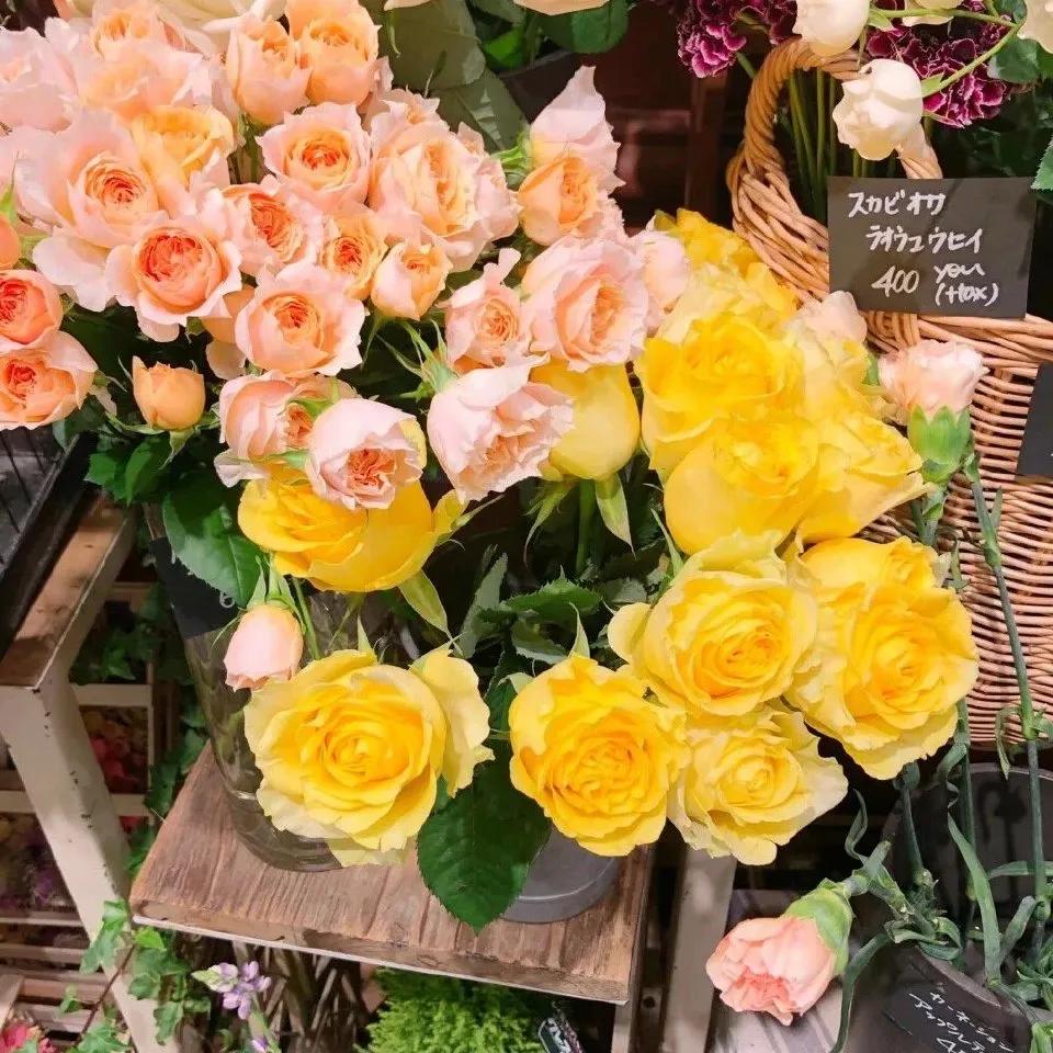 希望这次可以幸运点的背景图,2020年要快乐的背景图