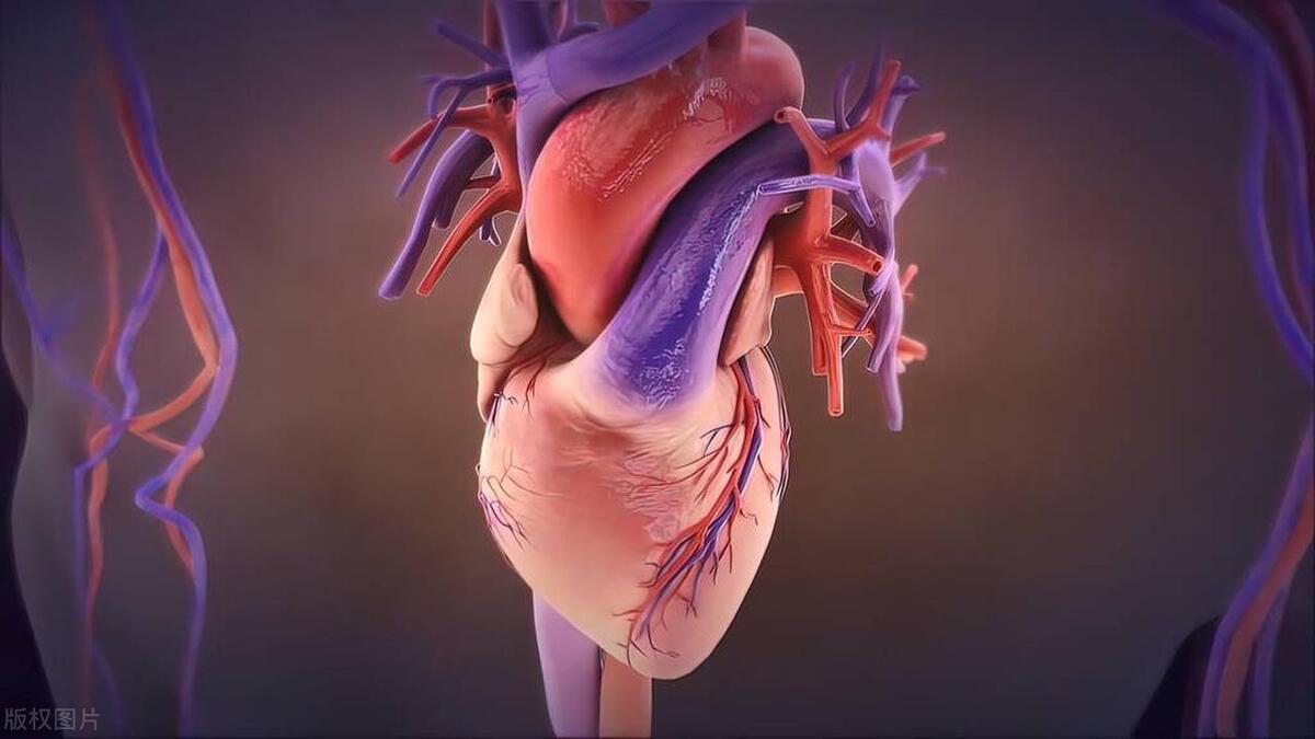 一般心跳达到多少会导致心跳停止,心跳快怎么缓解心跳一分钟多少次