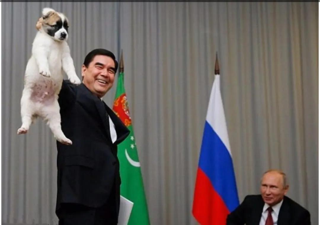 普京到底有多喜欢狗,普京为啥这么多人喜欢他