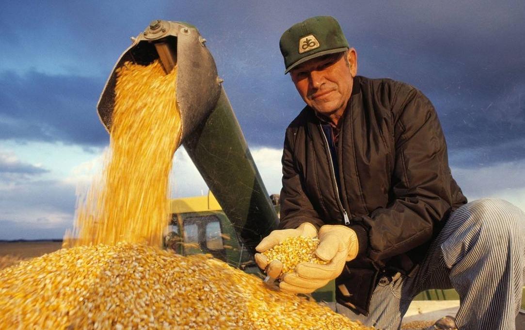 中国买家转向购买巴西玉米,退货美国订单,美媒:损害我们利益