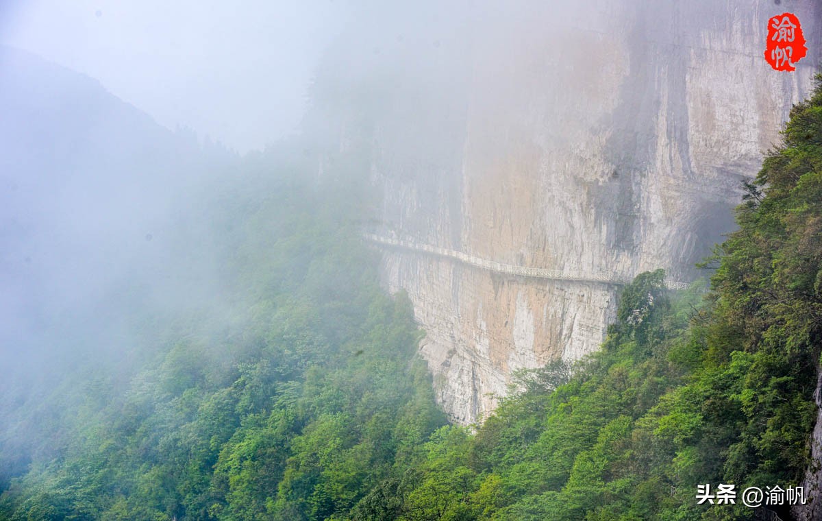 重庆的热门风景好的山,重庆哪座山最适合看城区风景