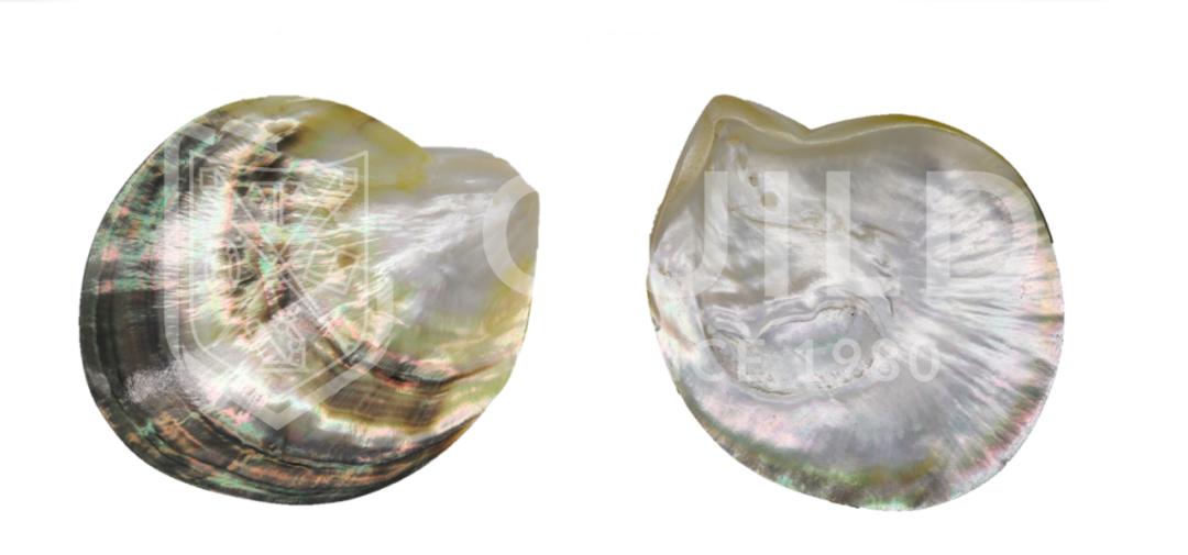 世界杯历史上最昂贵的比赛,最贫穷的世界杯