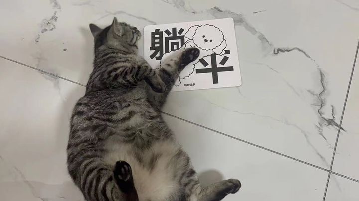 云鲸扫地机j2怎么用,云鲸j2扫地机清理