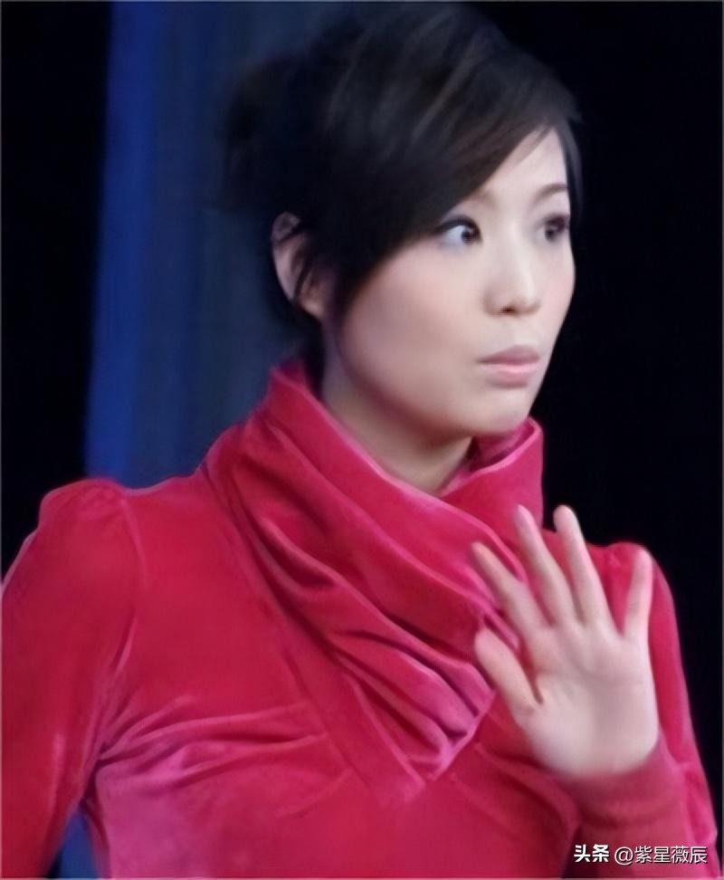 央视白岩松近况如何,白岩松与妻子现在状况