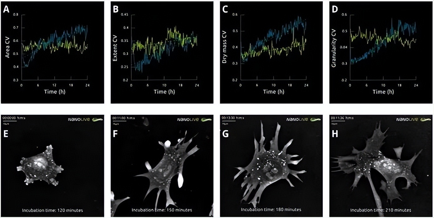 昆明纳瑞丨「Nanolive」在群体水平上描述单个细胞的特征