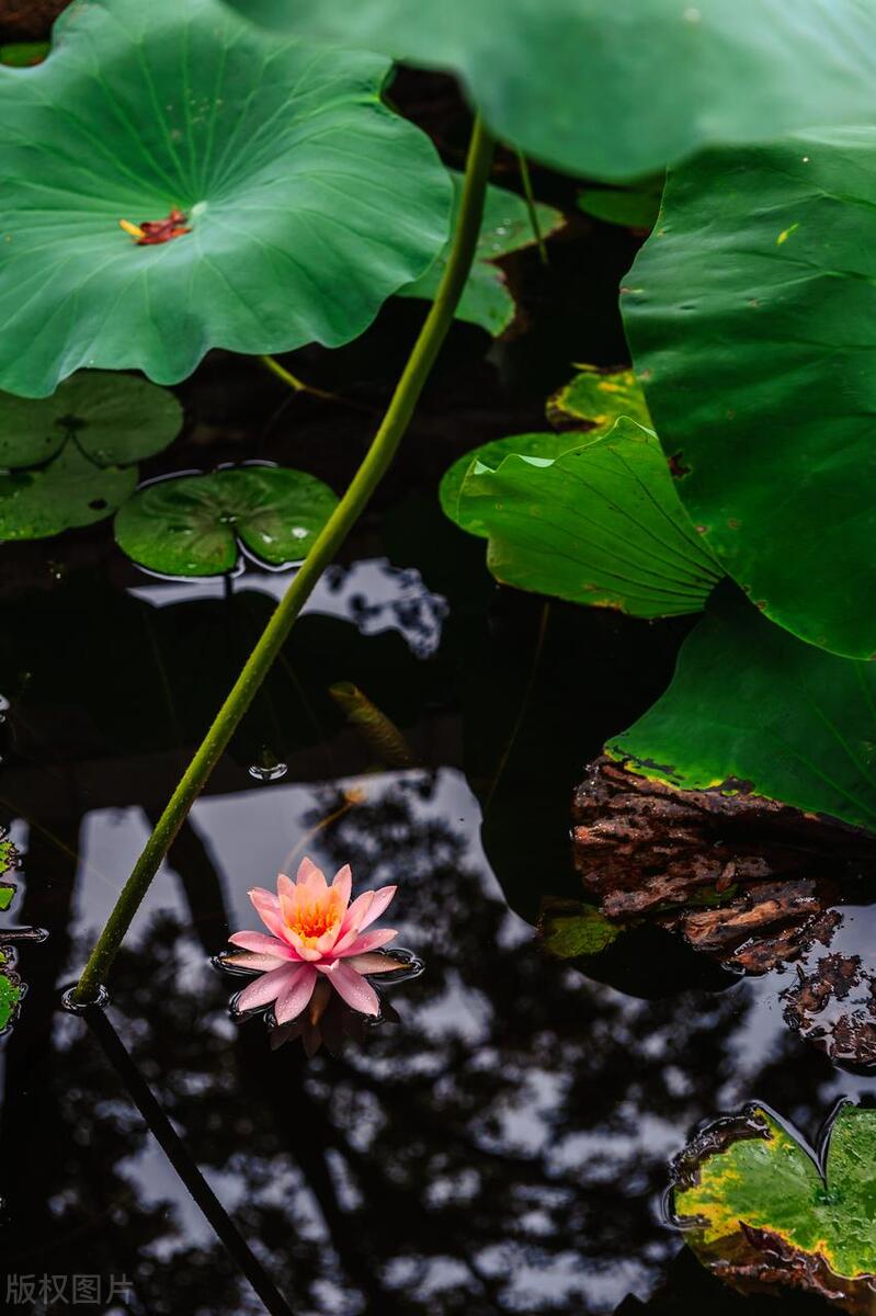 苏州这座城市怎么样,苏州最值得去哪个区