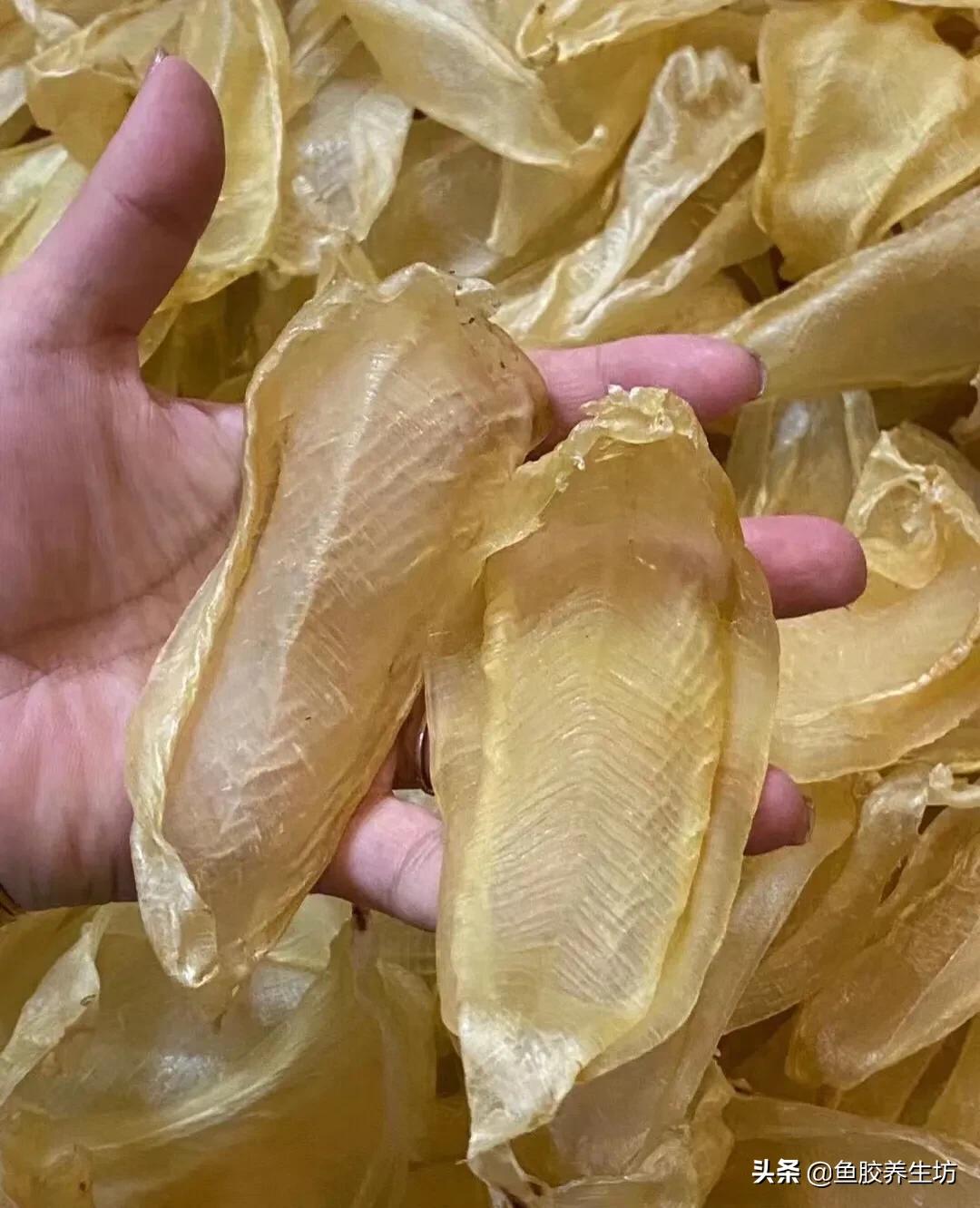 白花胶视频大全,白花胶的使用方法视频