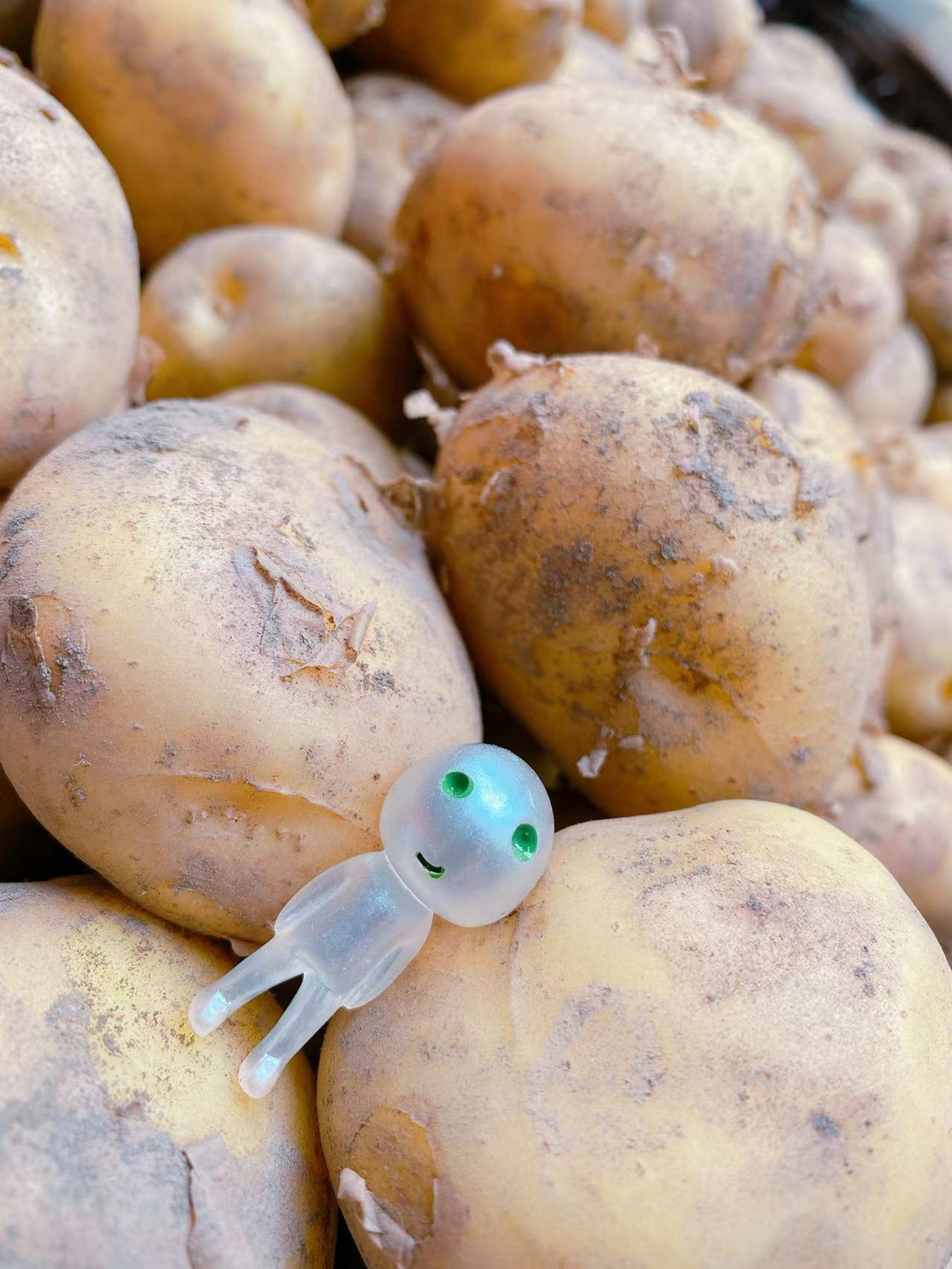 五一小长假最后一天，逛广元最大的超市，看看蔬菜区都有什么吗？