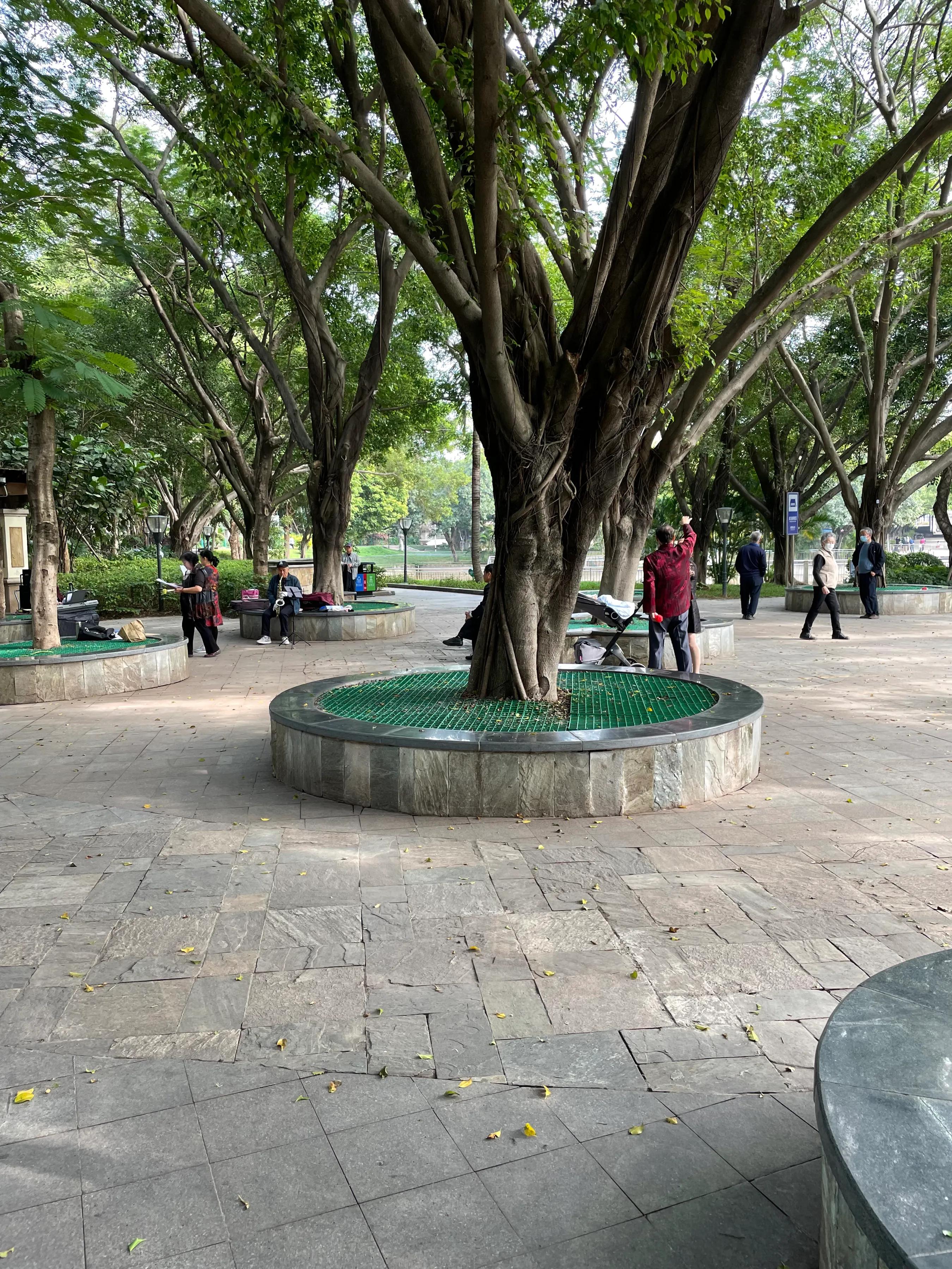 深圳宝安新安公园地址,深圳宝安新安公园图片