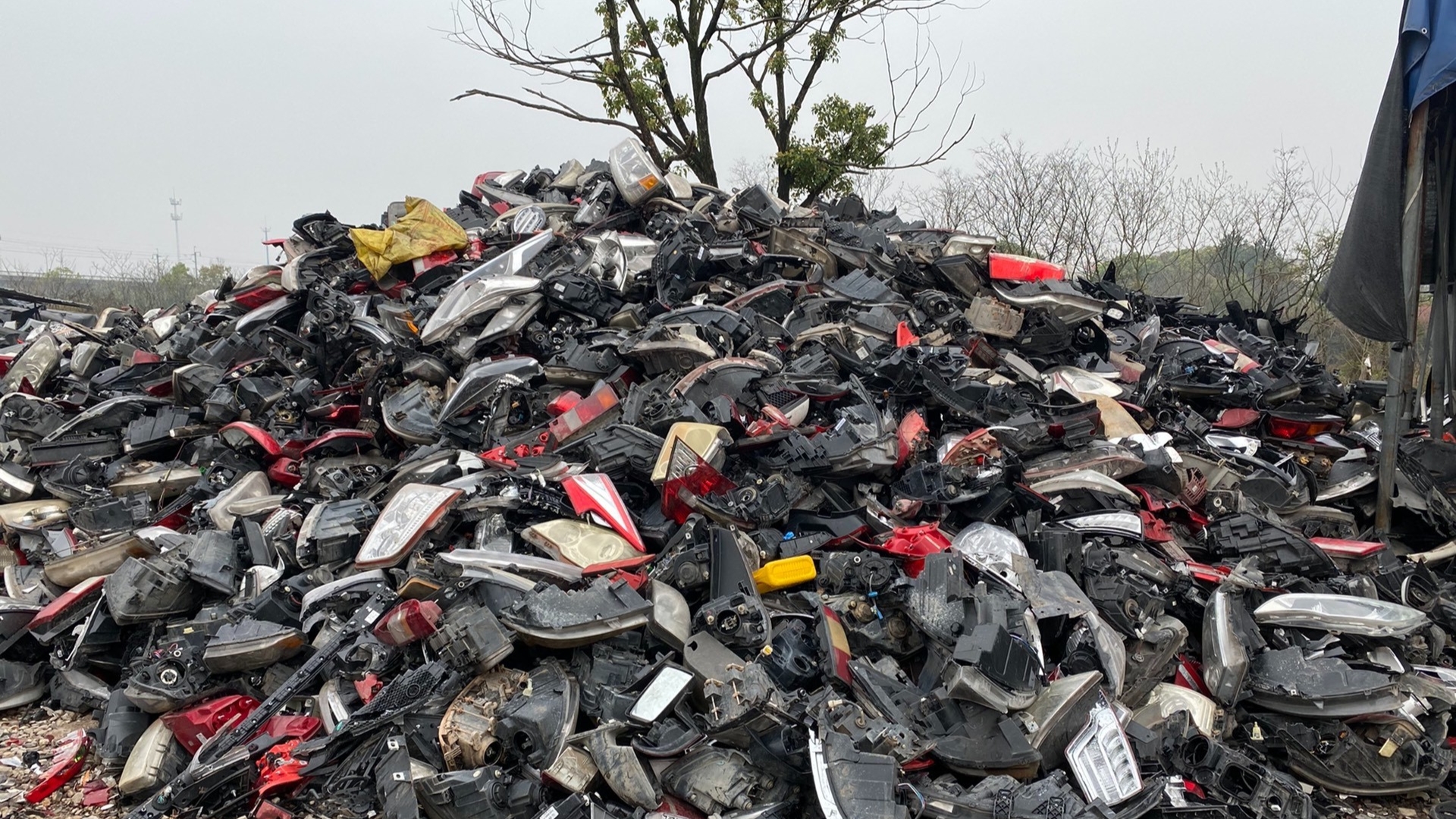 冷门低调闷声挣钱的小本生意,闷声发财冷门项目有多少