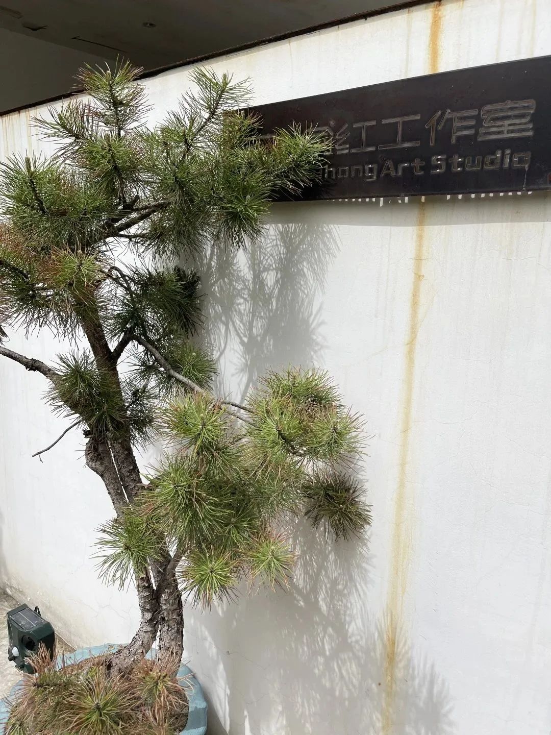 设计知旅第64期丨郑在洛地：设计师职业探索走进神都洛阳