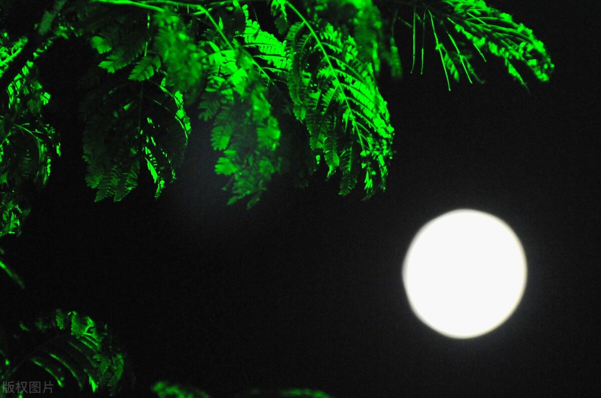 清朝历史冷知识图片大全,清朝的节庆习俗