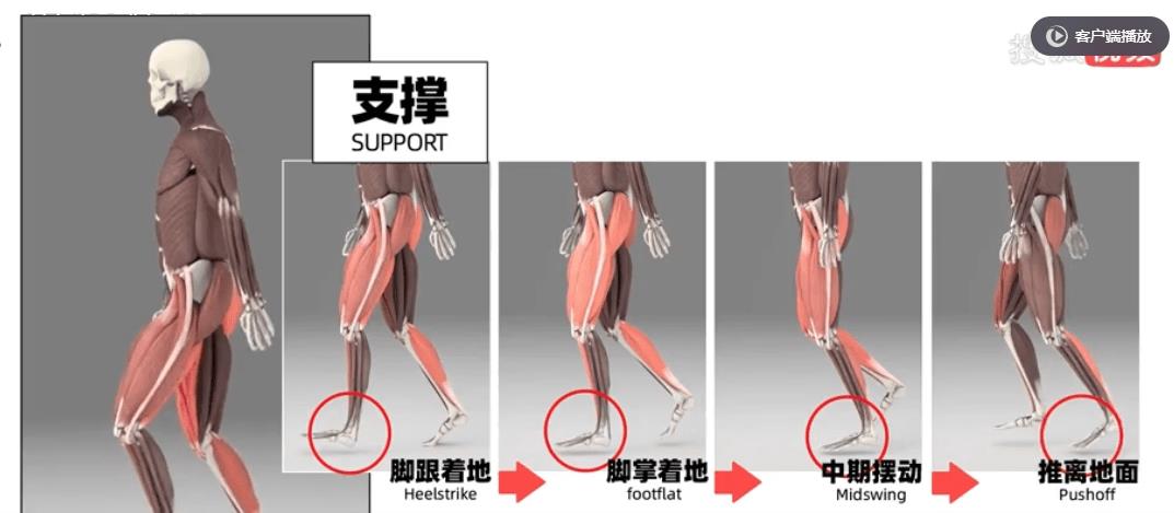 鞋带一扯就开的技法,鞋带环解法图解全图