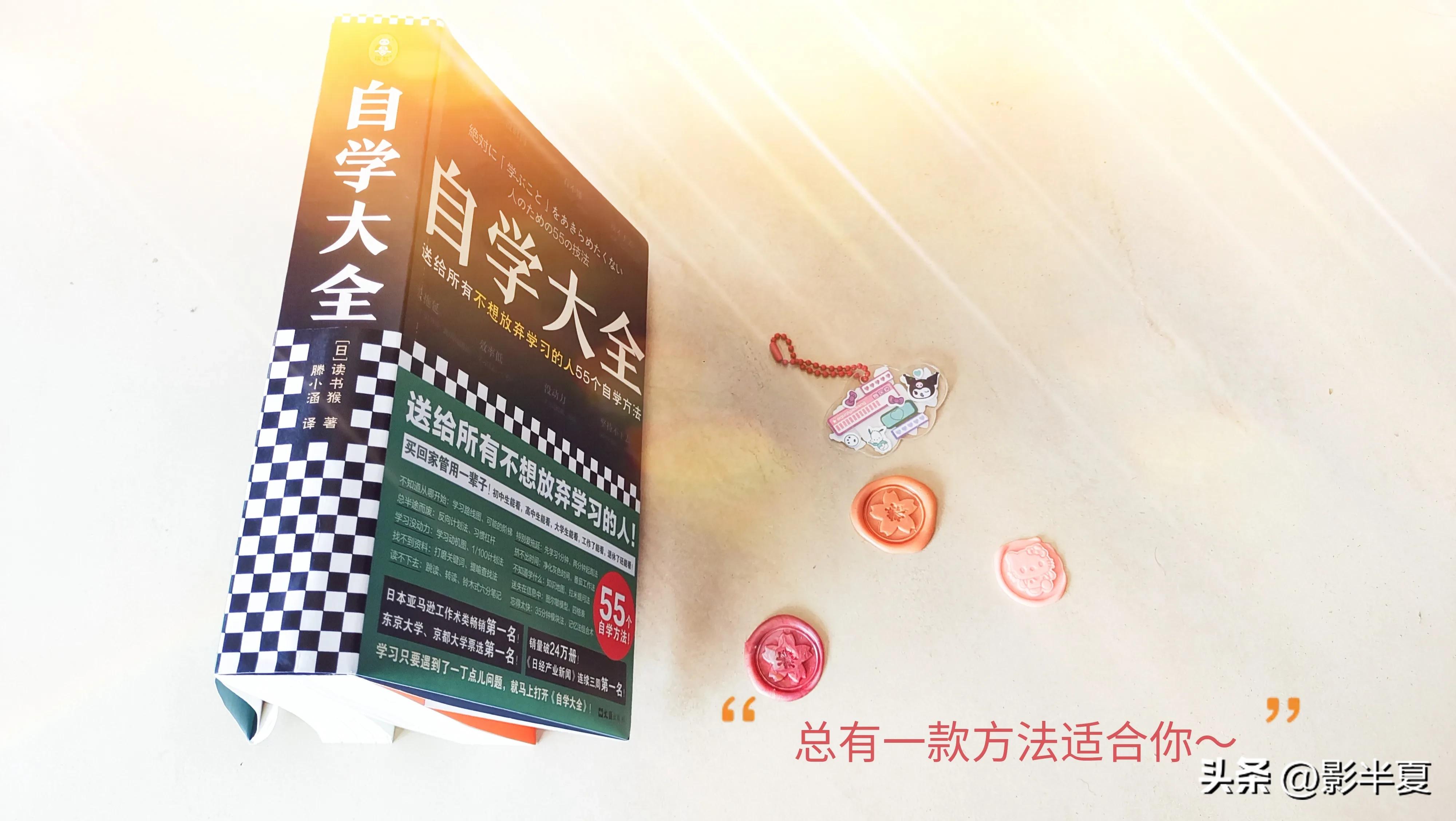 高效自学方法与技巧,自学学习方法500字