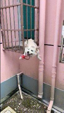 女朋友发来照片说刚运动完什么梗,女朋友发照片说刚运动完