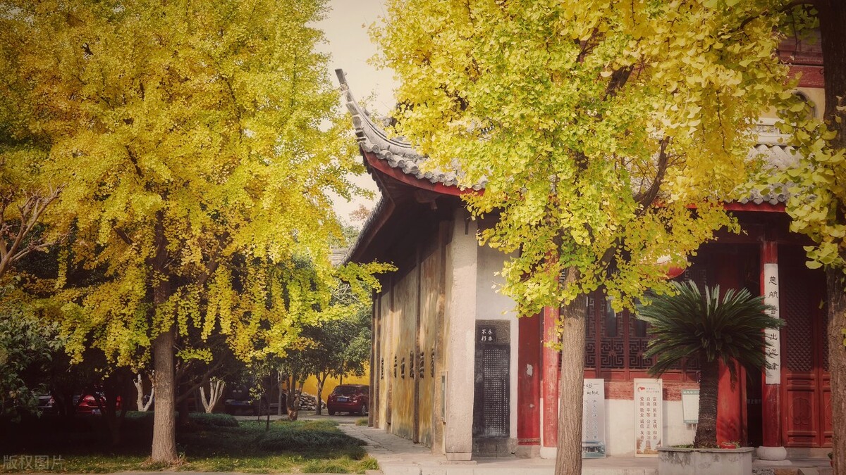 苏州游玩攻略小众景点推荐,苏州一日游最佳攻略姑苏区