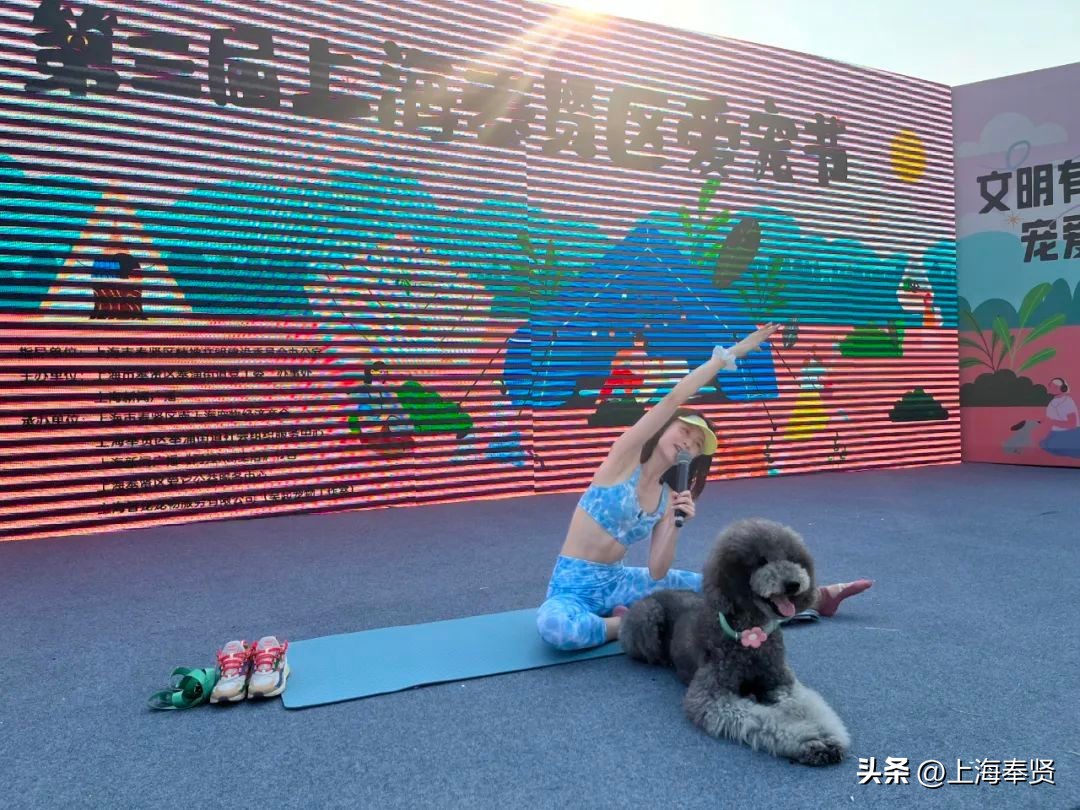 打造宠物社区,宠物友好型城市建设