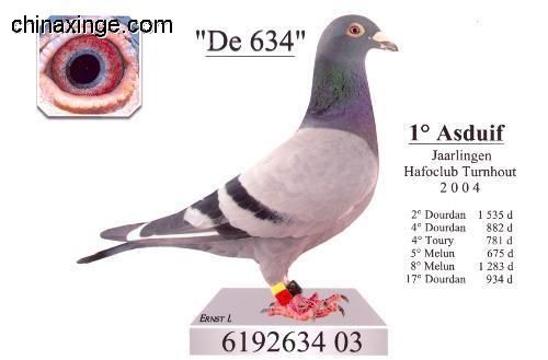 善良比利时莫里斯,比利时速度狂魔