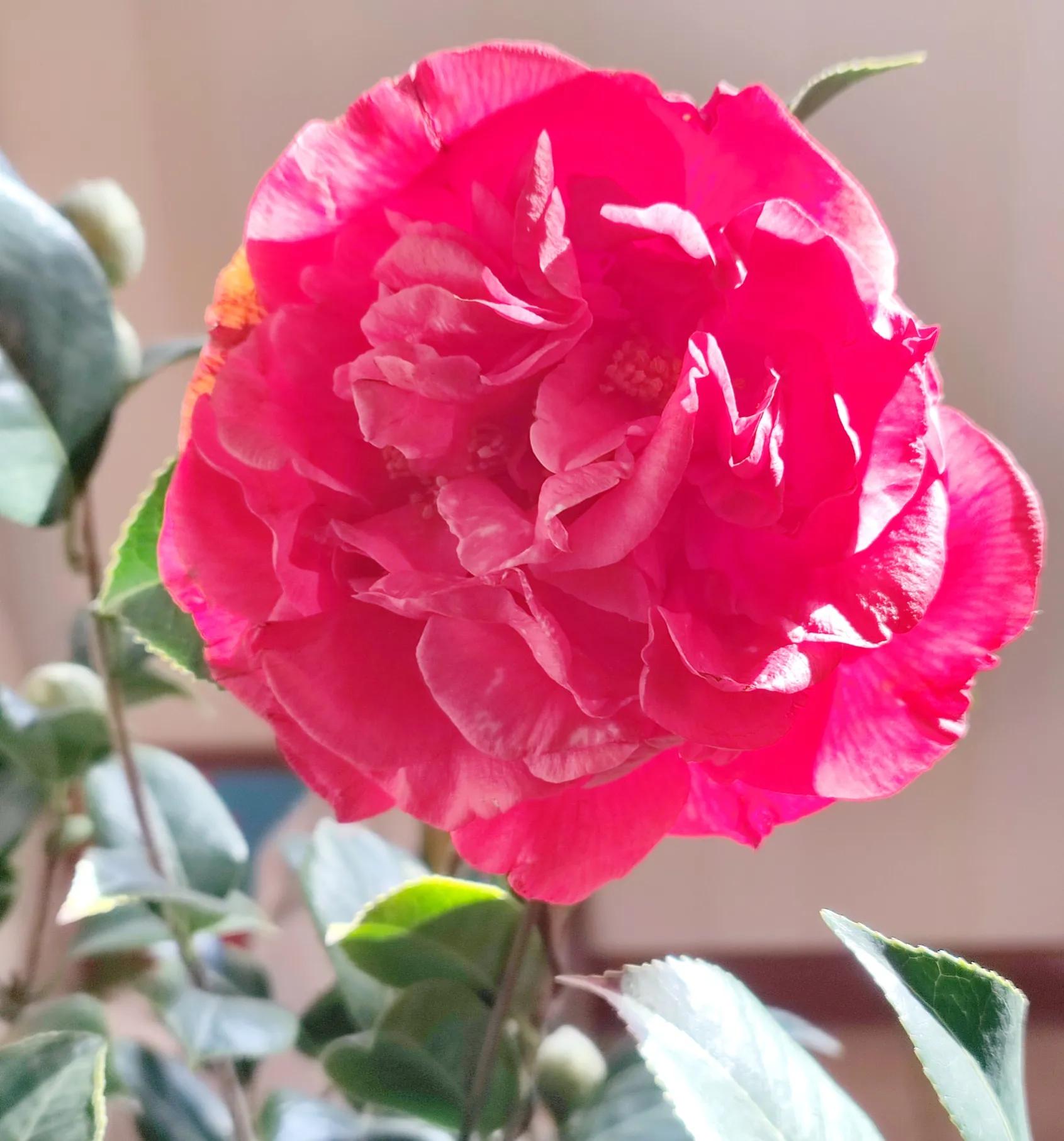 情暖冬至的古诗,春分立夏冬至