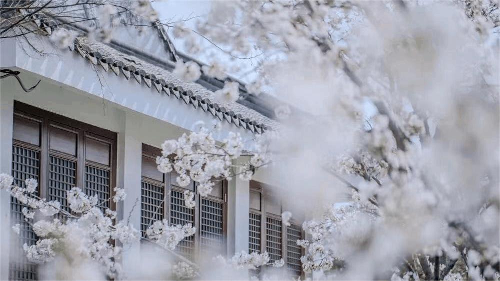 春风吹暖就业季绽放民生幸福花,春暖花开经济