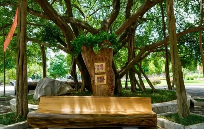 为什么大学体育课必须要选啊,大学体育课选什么学起来简单