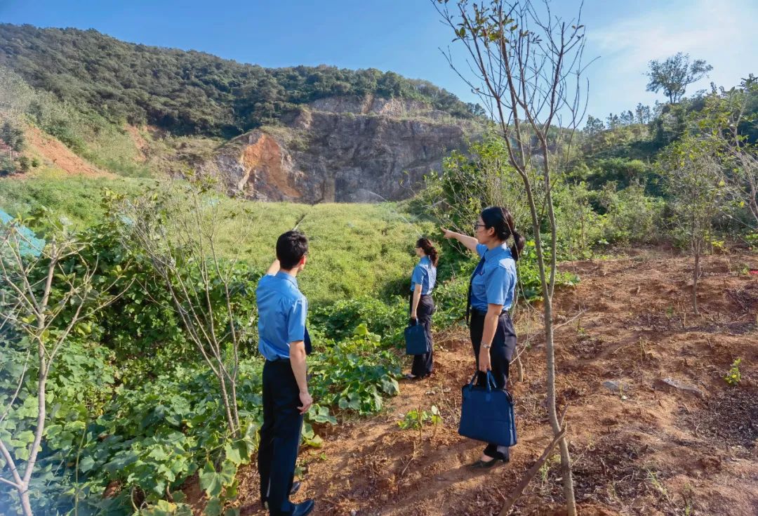 检察机关督促整治非法采矿,非法采矿罪300多万案例