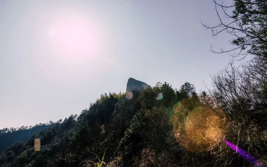 鍏泜绉樺,浠欏眳鍏泜绉樺