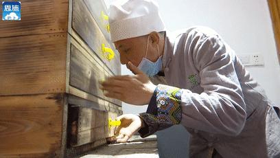 绿茶种类大全介绍,高档龙井绿茶有哪些种类