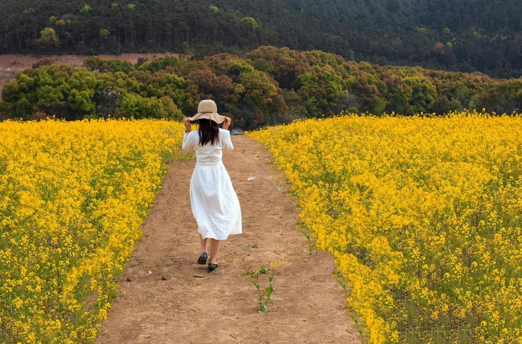 断联是放下一个人最好的方式,放下一段感情就要从断联开始